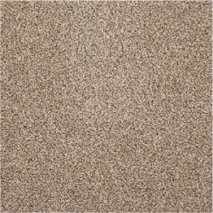 carpet special offers